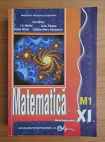 I. V. Maftei - Matematica. Manual pentru clasa a XI-a