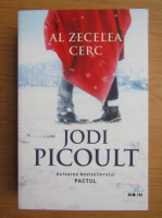Anticariat: Jodi Picoult - Al zecelea cerc