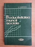 Emilian Dobrescu - Productivitatea muncii sociale