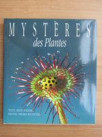 Mysteres des plantes
