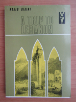 Najib Biaini - A trip to Lebanon