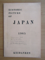 Economic picture of Japan