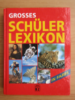 Grosses Schuler Lexikon