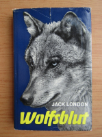 Jack London - Wolfsblut