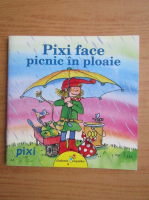 Julia Boehme - Pixi face picnic in ploaie