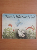 Tiere in Wald und Feld