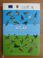 Atlas al speciilor de pasari de interes comunitar din Romania