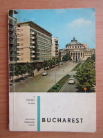 Dan Berindei - Bucharest. A pocket guide