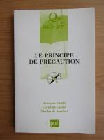 Francois Ewald - Le principe de precaution