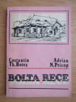 Adrian N. Pricop - Bolta rece