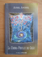 Aurel Anghel - La umbra firului de grau