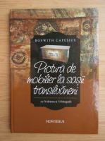 Roswith Capesius - Pictura de mobilier la sasii transilvaneni