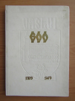 Schita monografica a orasului Vaslui
