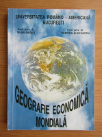 Silviu Negut - Geografie economica mondiala