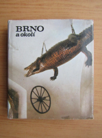 Brno a okoli