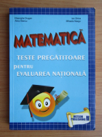 Gheorghe Drugan - Matematica. Teste pregatitoare pentru evaluarea nationala