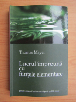Thomas Mayer - Lucrul impreuna cu fiintele elementare