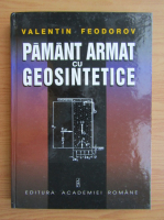 Valentin Feodorov - Pamant armat cu geosintetice
