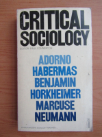 Critical sociology