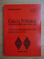 Silvia Bontas - Calcul integral. Introducere prin aplicatii. Exercitii si probleme rezolvate. Exemple ilustrative