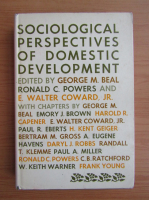 Sociological perspectives of domestic development