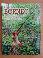 Catherine Samson - Borneo. La diagonale ver jungle