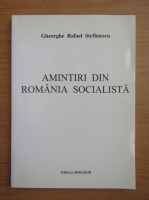 Gheorghe Stefanescu - Amintiri din Romania Socialista