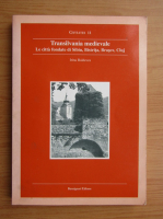 Irina Baldescu - Transilvania medievale