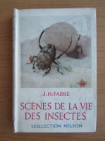 J. H. Fabre - Scenes de la vie des insectes (1936)