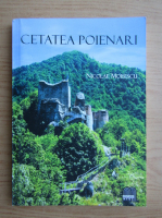 Anticariat: Nicolae Moisescu - Cetatea Poienari