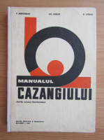 V. Margineanu - Manualul cazangiului