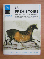 Andre Leroi Gourhan - La Prehistoire