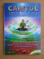 Caietul taberei spirituale yoghine de vacanta, Costinesti 2013 (volumul 2)