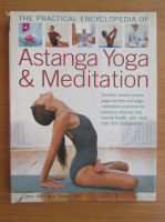 Jean Hall - The practical encyclopedia of Astanga Yoga and meditation