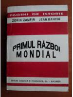 Zorin Zamfir - Primul razboi mondial