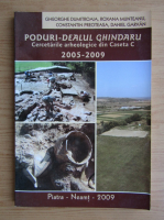 Gheorghe Dumitroaia - Poduri. Dealul Ghindaru. Cercetarile arheologice din Caseta C