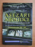 Sabin Adrian Luca - Asezari neolitice pe Valea Muresului (volumul 2)