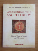 Tenzin Wangyal Rinpoche - Awakening the sacred body
