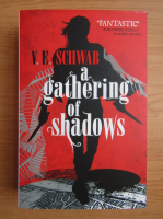 V. E. Schwab - A gathering of shadows