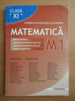 Marius Burtea - Matematica, M1. Culegere de exercitii si probleme, clasa a XI-a (2009)
