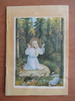 Sfantul Serafim de Sarov. Convorbirea cu Montovilov
