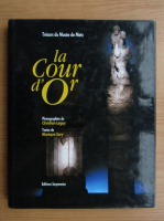 Monique Sary - La Cour d'Or. Tresor du Musee de Metz