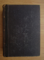 Morik Ballagi - Ungarisches und Deutsches Worterbuch (1881)