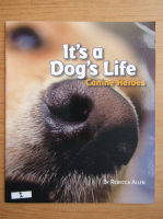 Rebecca Allen - It's a dog's life. Canine heroes