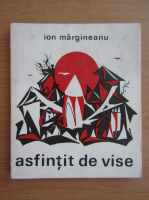 Ion Margineanu - Asfintit de vise
