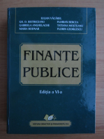 Iulian Vacarel - Finante publice