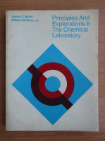James C. Baird - Principles and explorations in the chemical laboratory