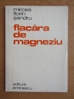 Anticariat: Mircea Florin Sandru - Flacara de magneziu