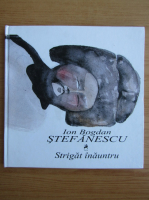 Ion Bogdan Stefanescu - Strigat inauntru