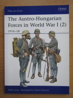 The Austro-Hungarian Forces in World War I (volumul 2)